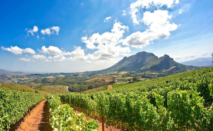 Paarl, Franschoek and Stellenbosch Winelands